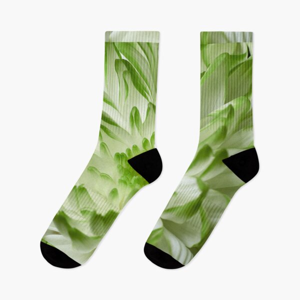 Item preview, Chrysanths White and green 2 designed and sold by Jouko Lehto Photography.