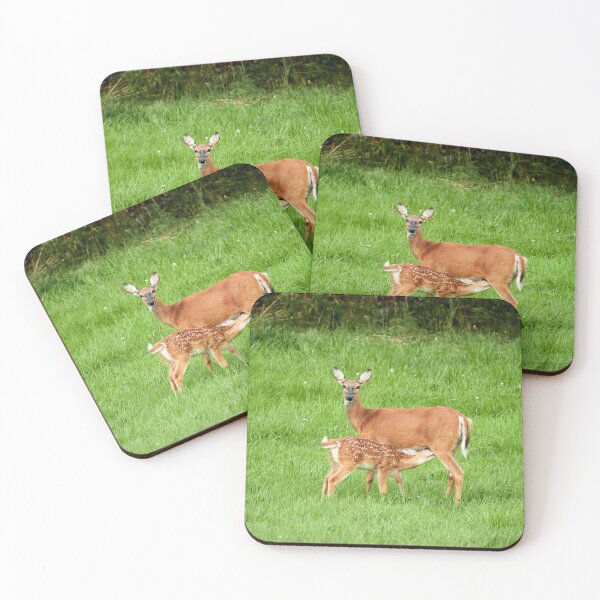 Item preview, Whitetail with a calf designed and sold by Jouko Lehto Photography.