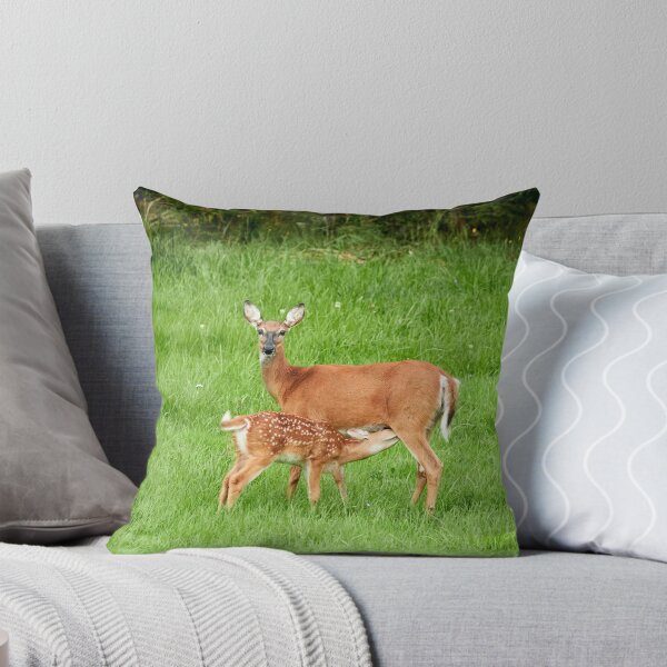 Item preview, Whitetail with a calf designed and sold by Jouko Lehto Photography.