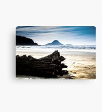 Drift wood on Ohope beach New Zealand Metal Print