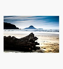 Drift wood on Ohope beach New Zealand Photographic Print