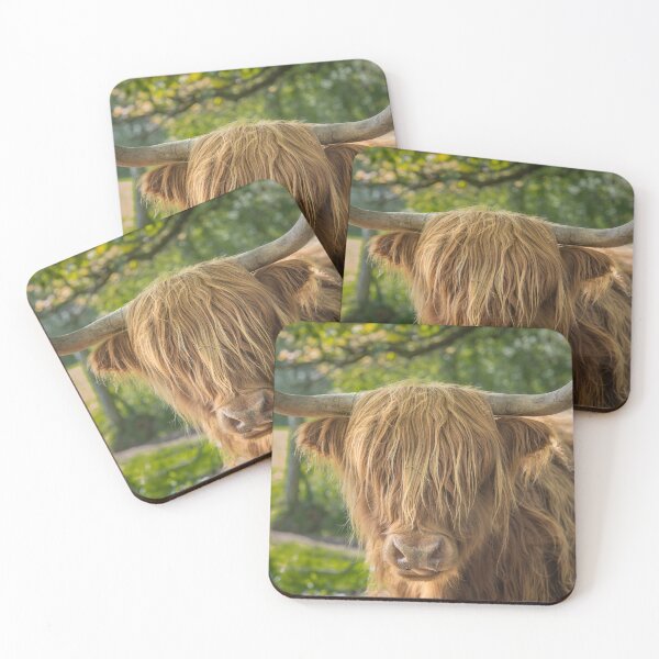 Item preview, Close Up of a Highland Cow in a Green Field in Scotland Facing the Camera designed and sold by marthadoom.