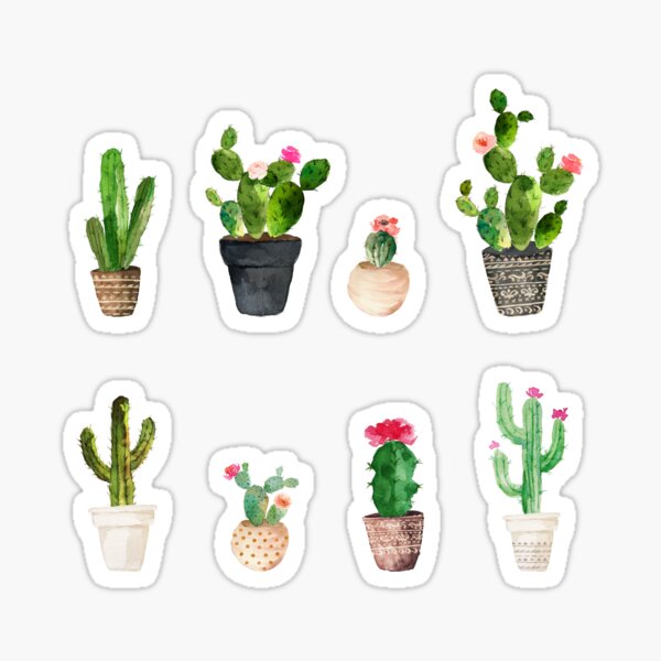 pack d'autocollants cactus Sticker