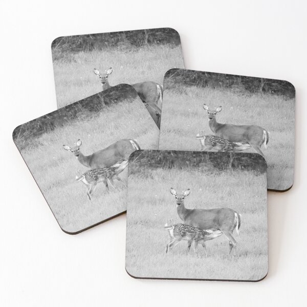 Item preview, Whitetail with a calf bw designed and sold by Jouko Lehto Photography.