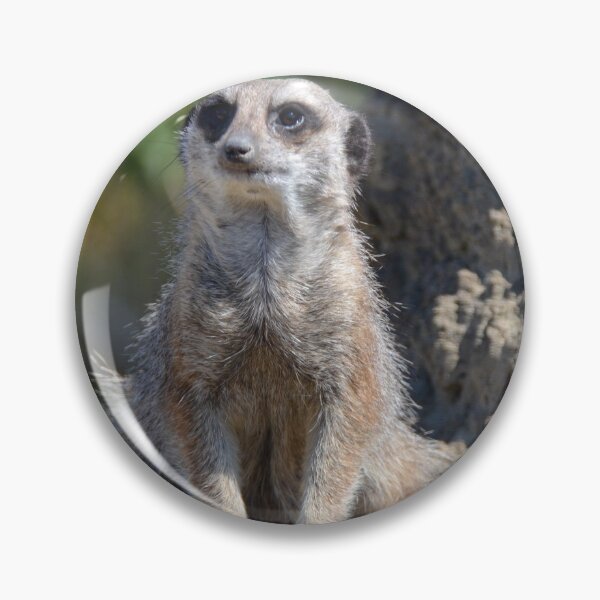 Item preview, Meerkat Lookout designed and sold by Ksswaden.