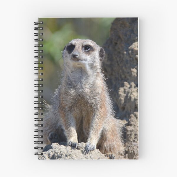Item preview, Meerkat Lookout designed and sold by Ksswaden.