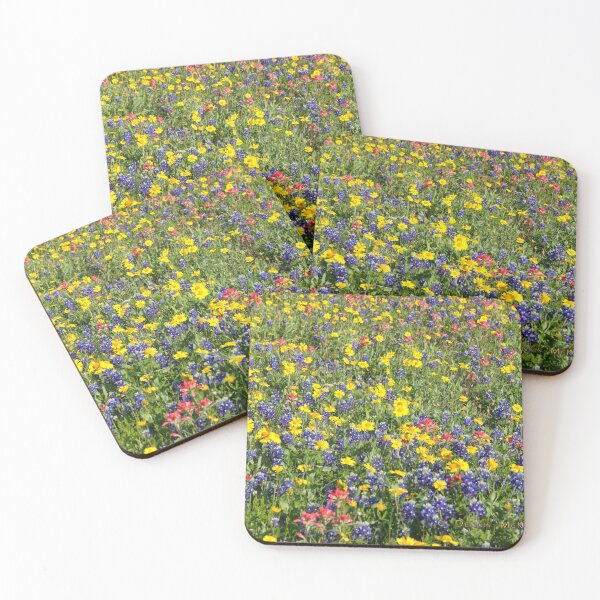 Artikelvorschau, Texas Wild Flowers II entworfen und verkauft von Texas Enfocus Photography.