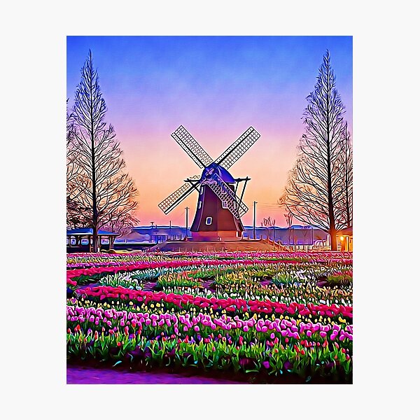 Windmill In Netherland "Artwork" Photographic Print