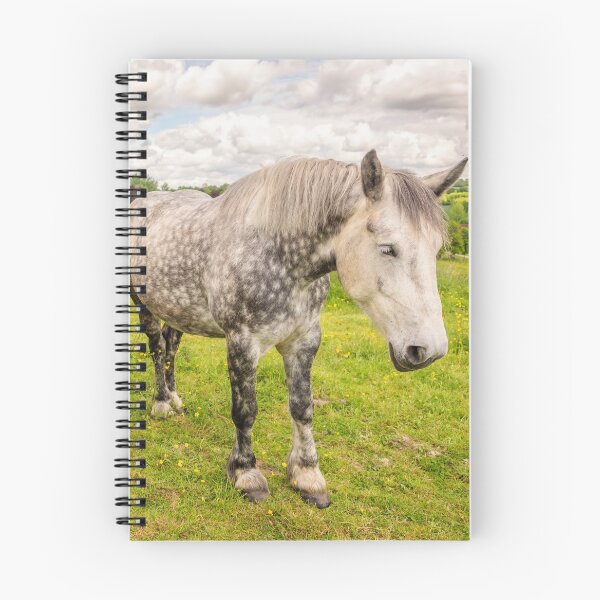 Item preview, Percherons horses designed and sold by Delphimages Art.