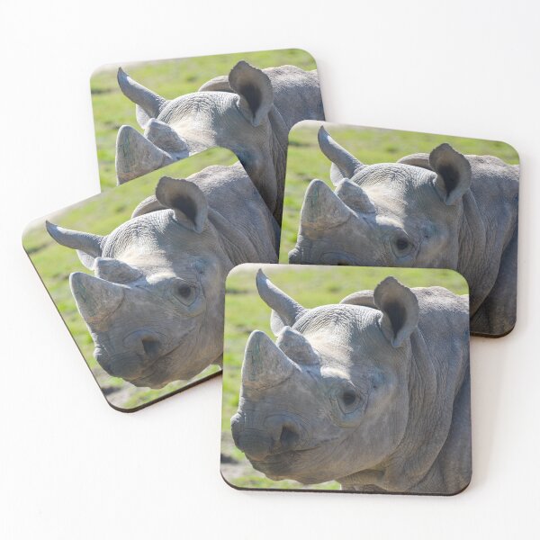 Item preview, Eastern Black Rhino designed and sold by Ksswaden.