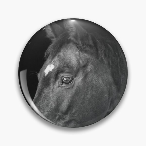 Item preview, Horse portrait designed and sold by Delphimages Art.