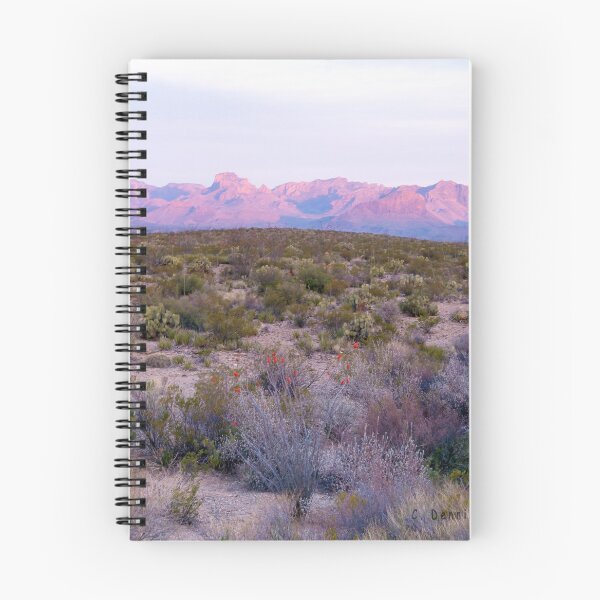 Item preview, Painted Desert designed and sold by Texas Enfocus Photography.