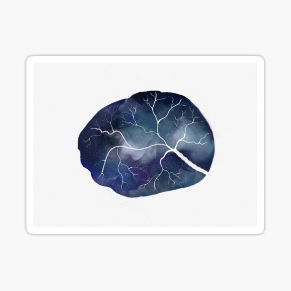 Galaxy Placenta Sticker