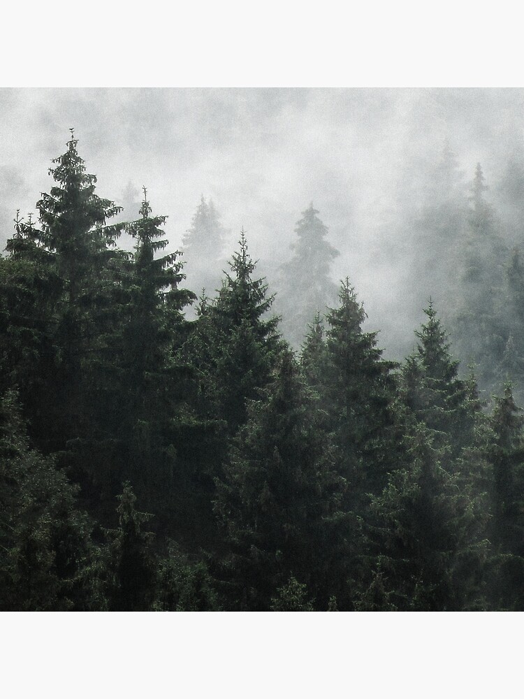 Thumbnail 4 von 4, Kissen, Waiting For // Misty Foggy Fairytale Forest With Cascadia Trees Covered In Magic Fog designt und verkauft von tekay.