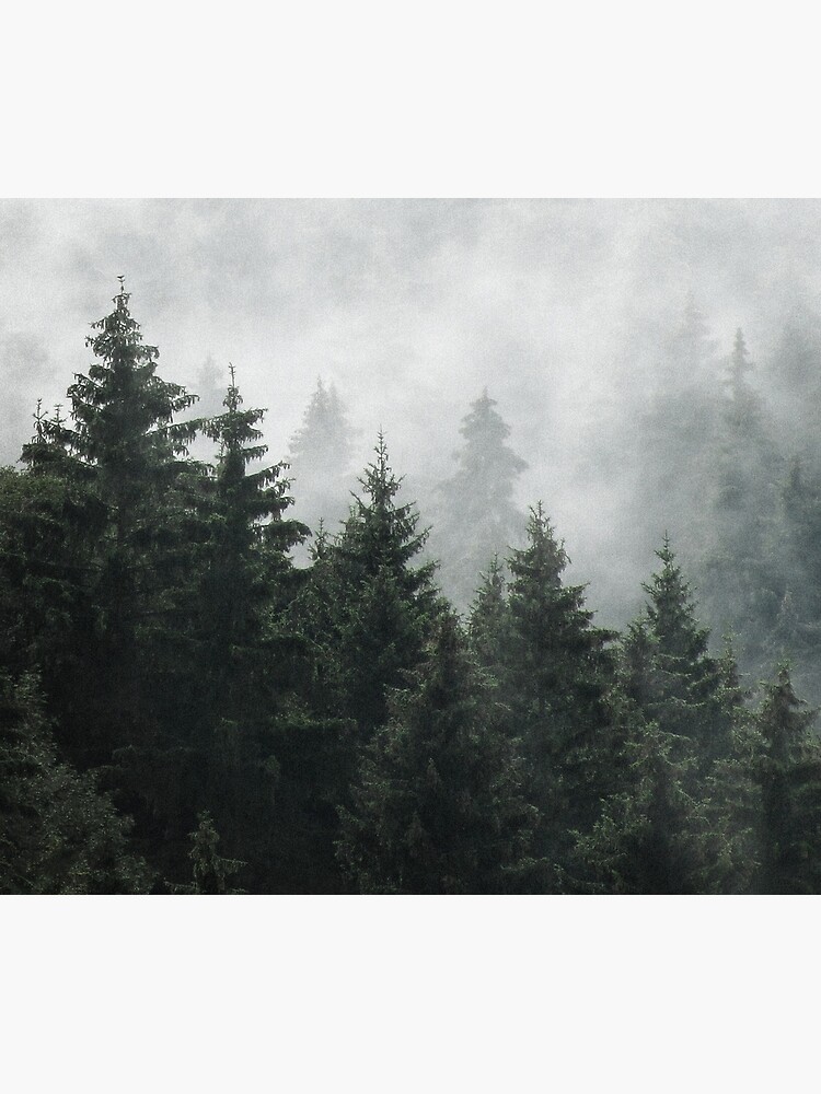 Thumbnail 2 of 2, Duvet Cover, Waiting For // Misty Foggy Fairytale Forest With Cascadia Trees Covered In Magic Fog designed and sold by tekay.