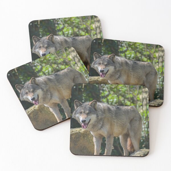 Item preview, European grey wolf designed and sold by Ksswaden.
