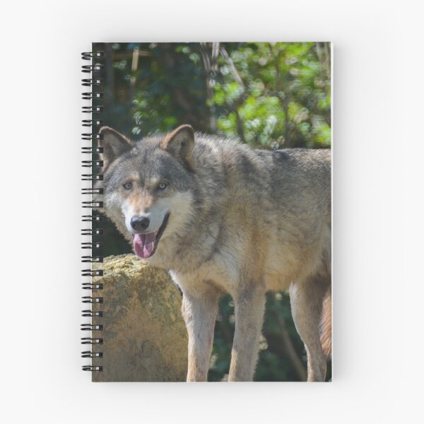 Item preview, European grey wolf designed and sold by Ksswaden.