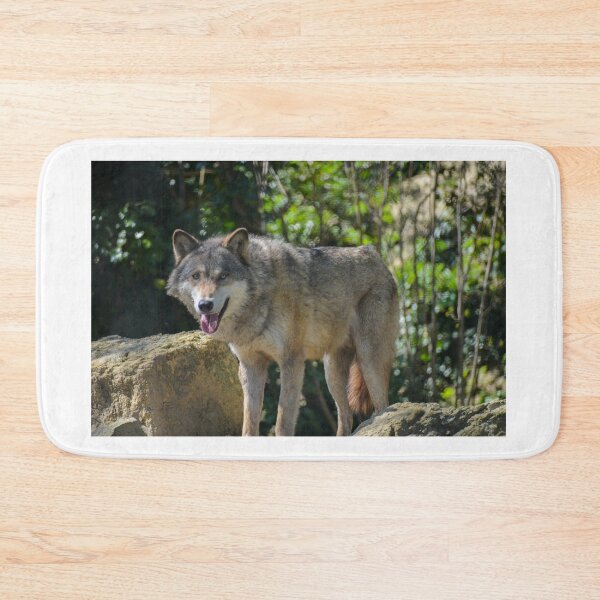 Item preview, European grey wolf designed and sold by Ksswaden.