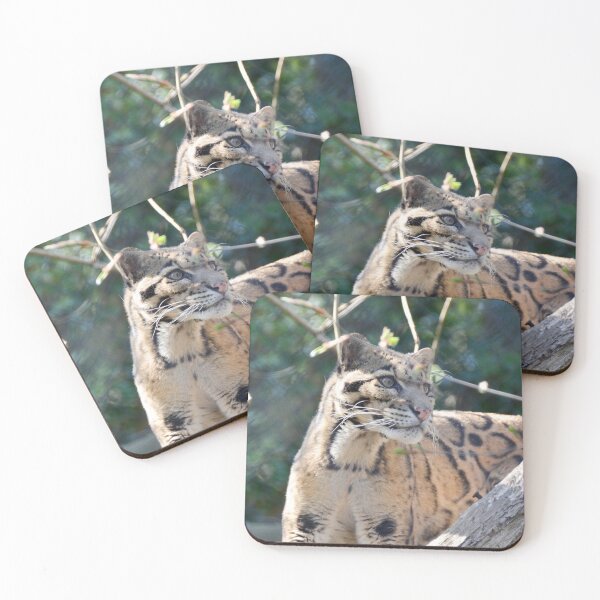 Item preview, Clouded leopard designed and sold by Ksswaden.