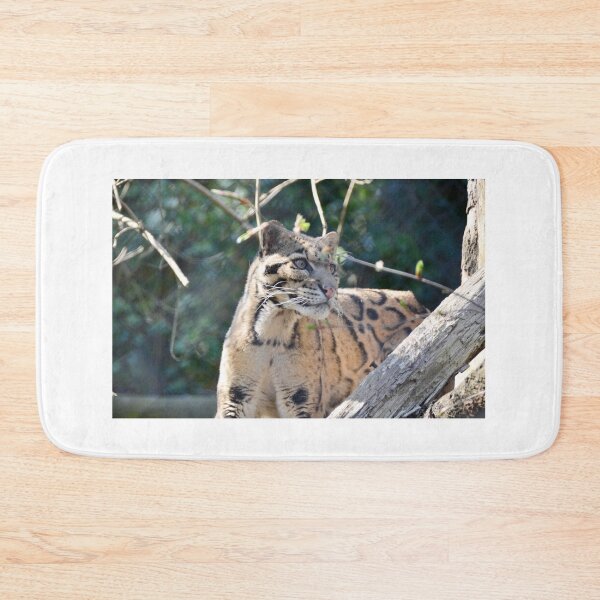 Item preview, Clouded leopard designed and sold by Ksswaden.