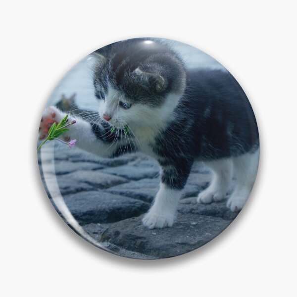 Item preview, Cat and plants designed and sold by redeemer77.