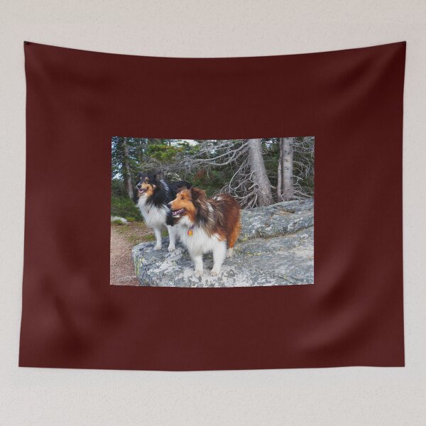 Item preview, On the Rock, Shelties designed and sold by LeRoyM.