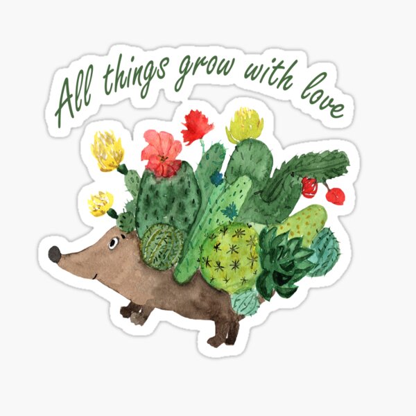 Kaktus Igel Sticker