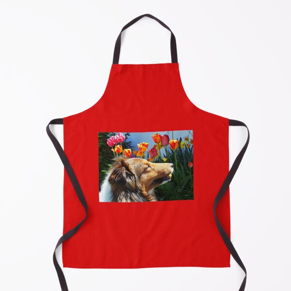 Item preview, Sheltie likes tulips designed and sold by LeRoyM.
