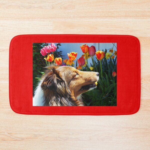 Item preview, Sheltie likes tulips designed and sold by LeRoyM.