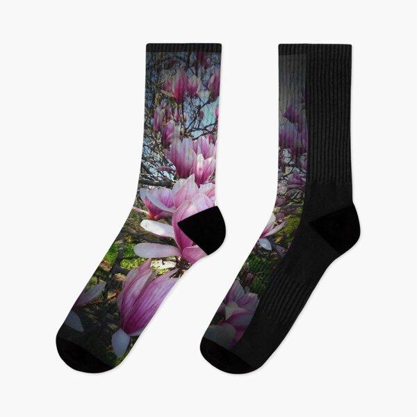 Item preview, Early Spring Blossoms Of A Magnolia Tree Color Photo Design designed and sold by EarthArtDesigns.