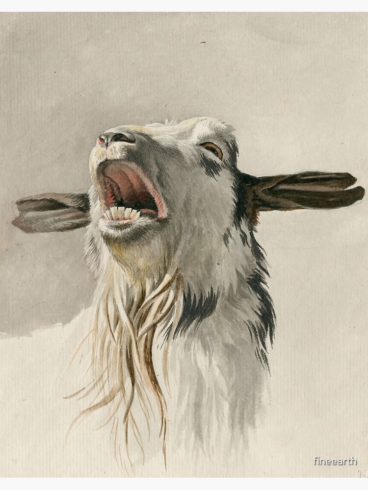 The Scream - Vintage Goat Painting  Art Board Print for Sale by vintage  wall art