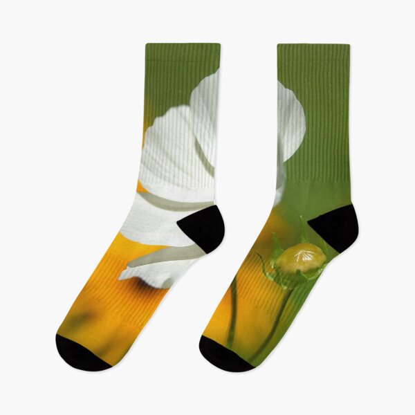 Item preview, White poppy flower designed and sold by bernd49.