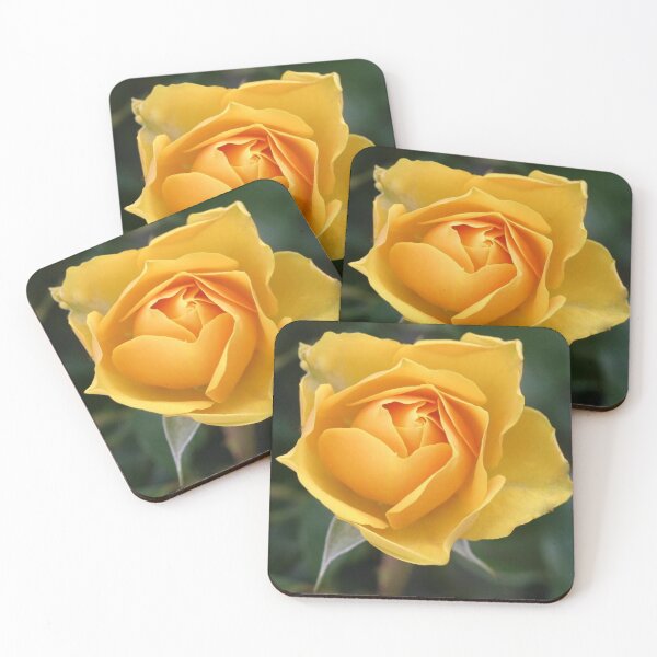 Item preview, Yellow rose designed and sold by bernd49.