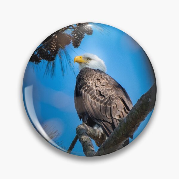 Item preview, bold eagle in the pines designed and sold by BowToe.