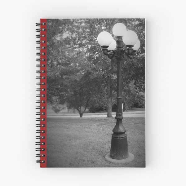 Item preview, Lamp Post designed and sold by Christina Stanley.