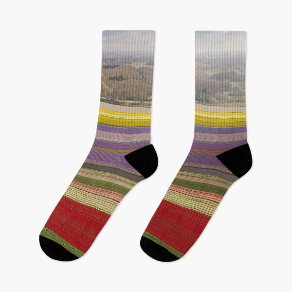 Item preview, Dutch Tulip Field designed and sold by Tim Paulawitz.