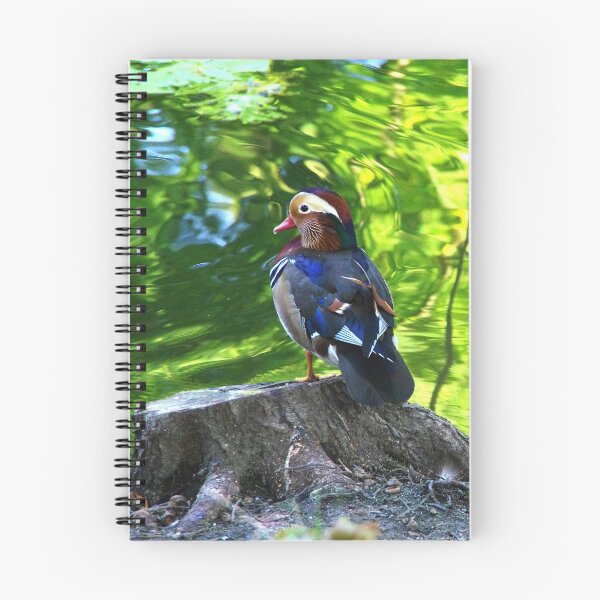 Artikelvorschau, Mandarinente entworfen und verkauft von Babbler01.