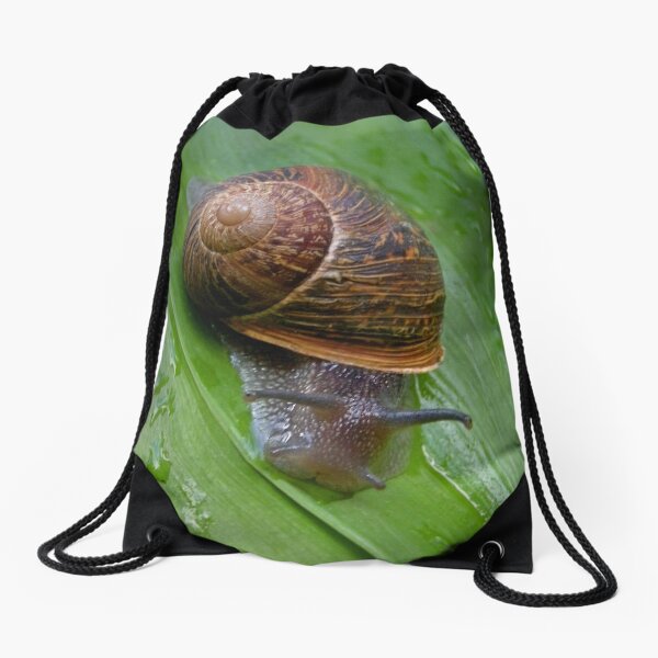 Aperçu de l'œuvre Escargot créée et vendue par stacky.