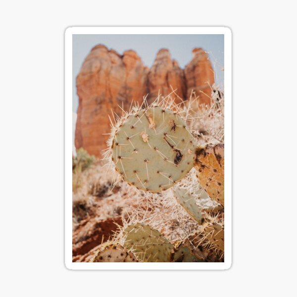 Desert Daze Sticker
