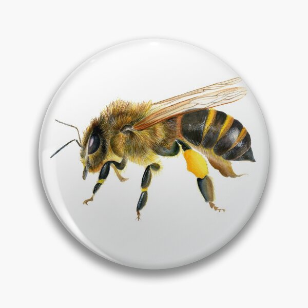 Item preview, Honey Bee Insect Watercolor Painting Wildlife Artwork designed and sold by Alison Langridge.