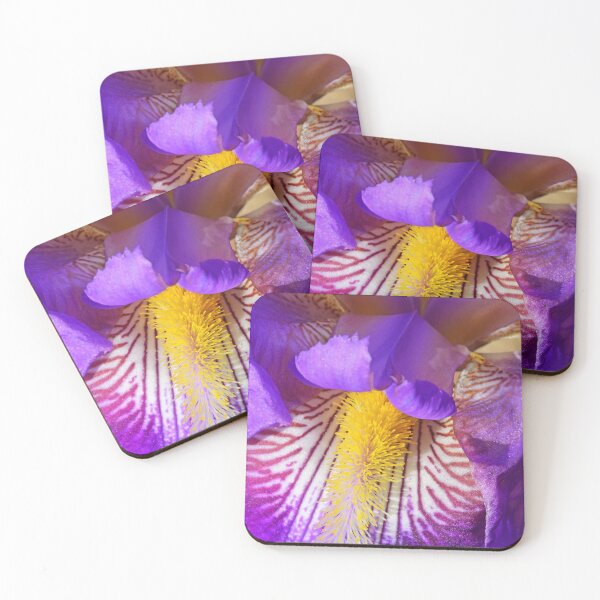 Item preview, Macro Image of a Bearded Iris (Iris germanica) in the Morning Sun designed and sold by ThomMorris.