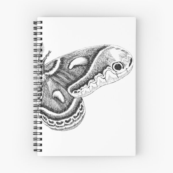 Item preview, Cecropia Moth designed and sold by peterned.