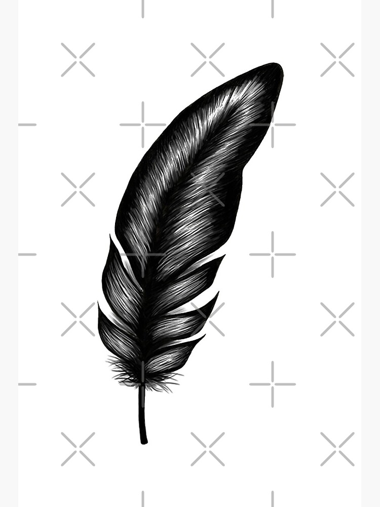 Black Fancy Feathers Vase Kit