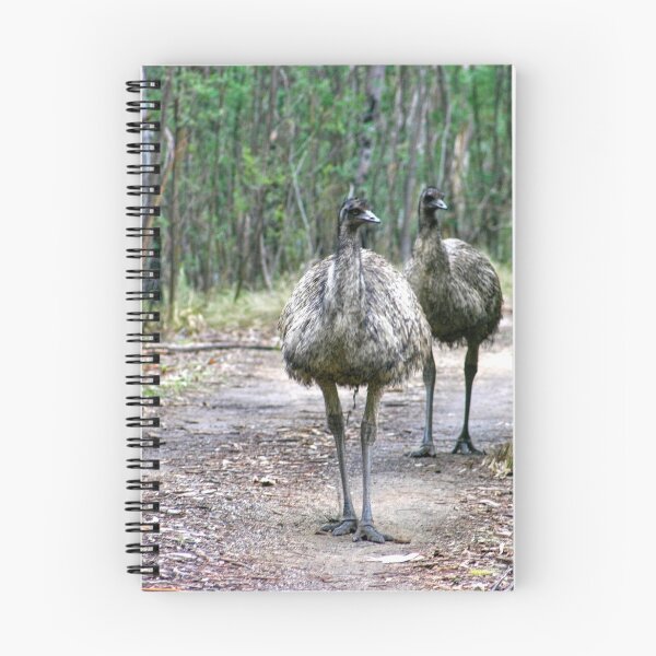Item preview, Curioso Emu designed and sold by eidann.