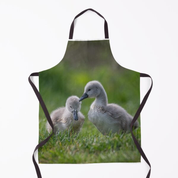 Item preview, Cygnets designed and sold by Steve Liptrot Photography.