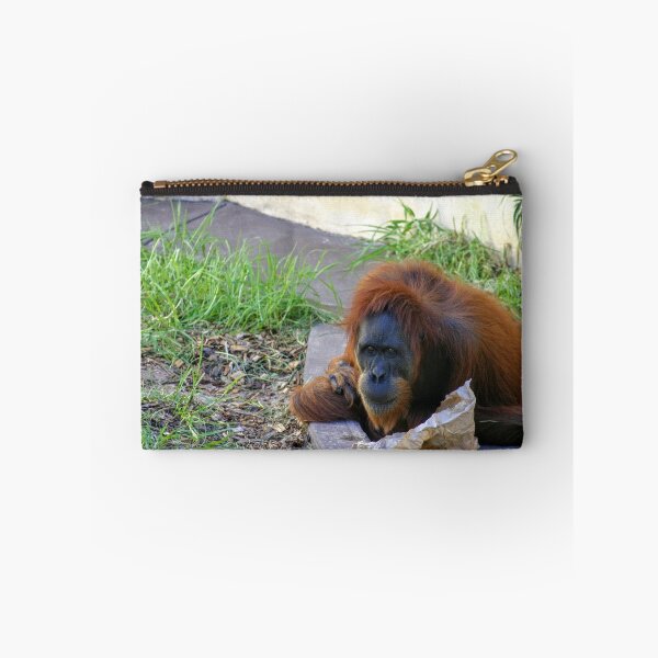 Item preview, Orangutan Lunch Break designed and sold by eidann.