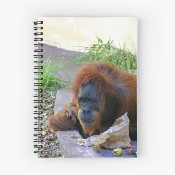 Item preview, Orangutan Lunch Break designed and sold by eidann.