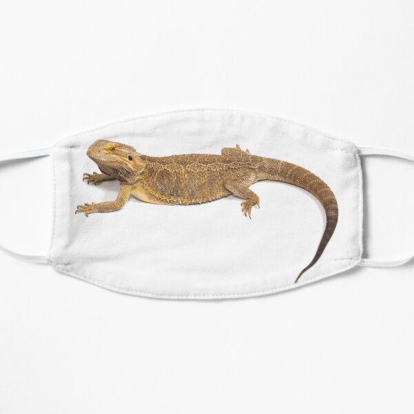 Bearded Dragon Flat Mask