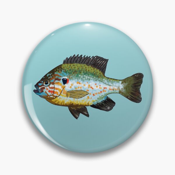 Item preview, Pumpkinseed (Lepomis gibbosus) designed and sold by LaurasNature.