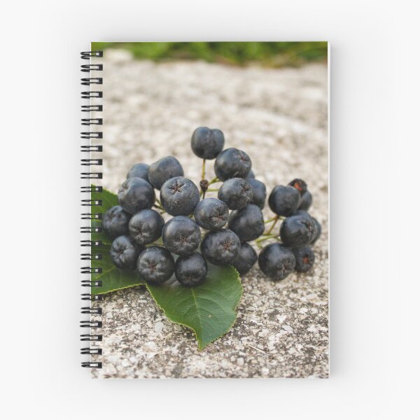 Item preview, A twig of a bunch of fruit chokeberry designed and sold by Mahirov Shop.